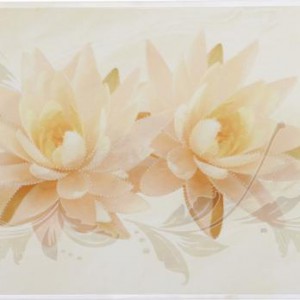 Gạch ốp tường Trường Thịnh WALL TILES Điểm YR81021BD